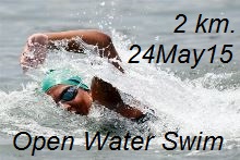 การแข่งขันว่ายน้ำระยะไกล 2 กม.24 May 2015