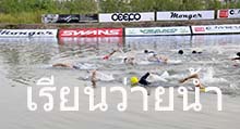 Open Water Swimming Course for Triathlon (beginner, intermediate)