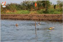 Open Water Swim, VSANO Adventure 7